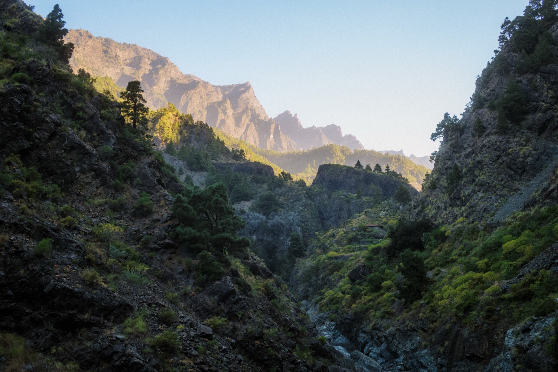 Deep forested gorge below jagged peaks